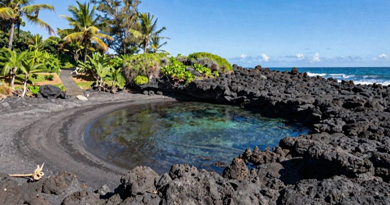 grande anse réunion : plage sauvage et nature préservée